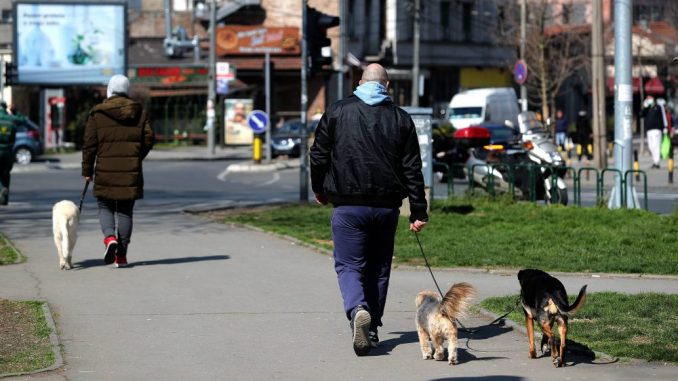 In Serbia, another 82 new cases and two deaths, a total of 10,114 infected and 215 deceased 1