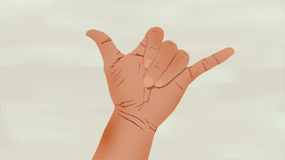 Shaka sign