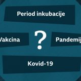 Korona virus: Intenzivna nega, kolektivni imunitet, vakcina i drugi termini 10