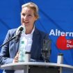 Šefica AfD-a Alis Vajdel: Desna, ekstremna, nekonvencionalna 12