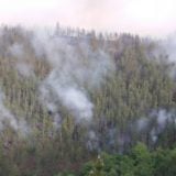 Veliki požar na Kopaoniku, gori i šuma oko manastira Studenica, evakuisano šest domaćinstava 12