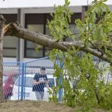 U Hrvatskoj posle oluje intervencije vatrogasaca, najteže u Zagrebu 15