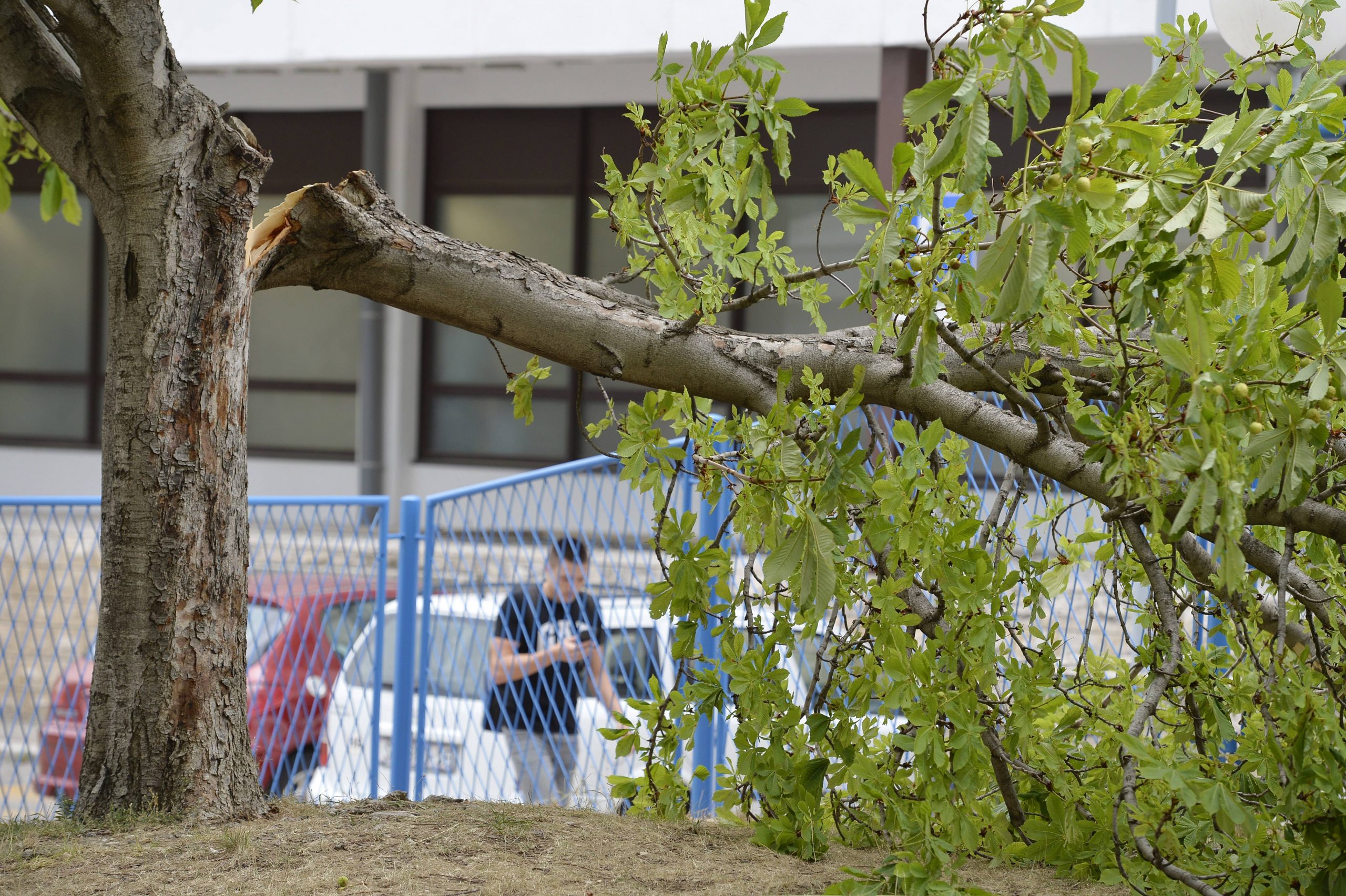 U Hrvatskoj posle oluje intervencije vatrogasaca, najteže u Zagrebu 1