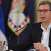 Div koji čeka da ga obori Vučić 13