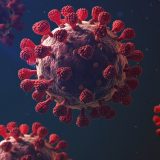 Korona virus: Zašto je toliko smrtonosan 10