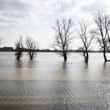 Upozorenje RHMZ: Sava će preći granicu redovne odbrane od poplava 6