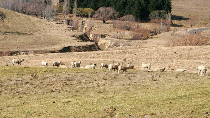 Ekosistemu pod našim stopalima treba zaštita 1