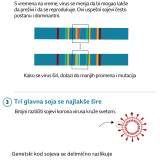 Korona virus: Broj zaraženih u Srbiji raste, zaseda Krizni štab, Merkel kaže da je Nemačka u trećem talasu pandemije 8