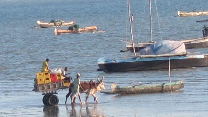 Madagaskar (2): Bekstvo od civilizacije u Toliari 1