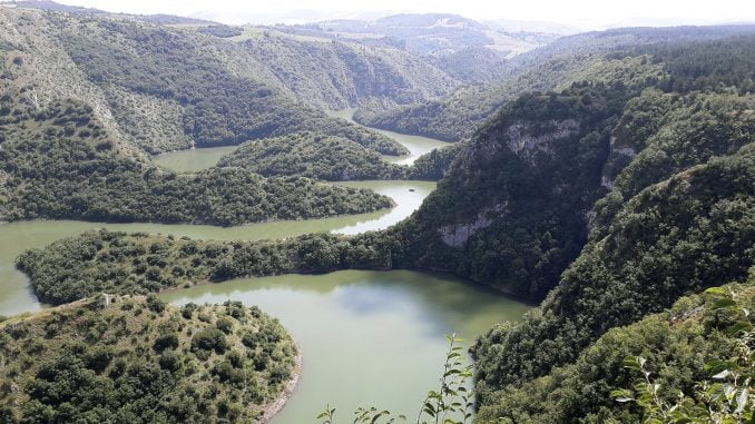 Navala gostiju na Zlatibor, Taru i Zlatar