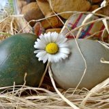 Uskršnja jaja - farbanje u ljubičastom kupusu 6