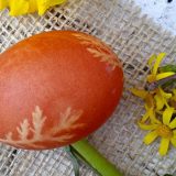 Farbanje jaja kurkumom i ljuskom od crnog luka 9