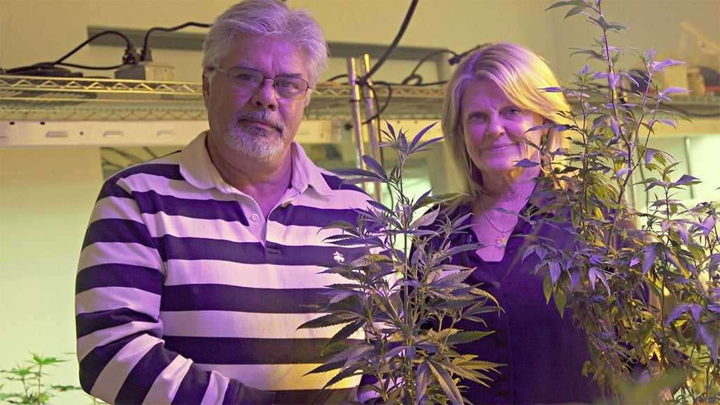 Jayne and Vic Grissom pose in their marijuana plant display room