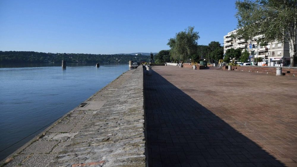 NVO "Svet i Dunav" posle ustavne žalbe podnela i ustavnu inicijativu 1