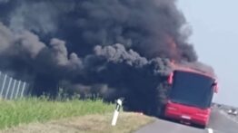 Autobus Nišekspresa izgoreo na autoputu kod Subotice (FOTO) 14