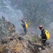 Na Vidliču gori nekoliko stotina hektara, najkritičnije u dva dimitrovgradska sela 12