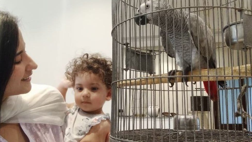 Dr Anum Ahmed with her daughter and her pet