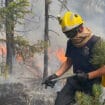 MUP: Lokalizovani požari kod Raške, Bujanovca i Bora 11