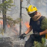 MUP: Lokalizovani požari kod Raške, Bujanovca i Bora 3