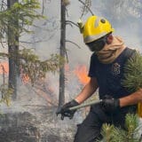 MUP: Lokalizovani požari kod Raške, Bujanovca i Bora 7