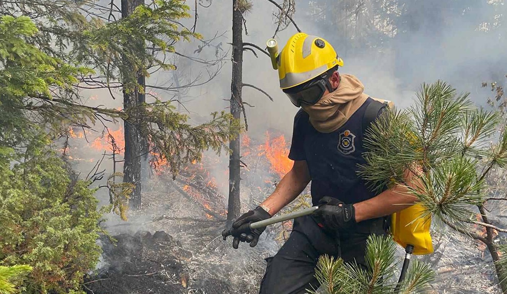 MUP: Lokalizovani požari kod Raške, Bujanovca i Bora 9