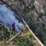 Srbija, priroda i požari: Zašto dolazi do šumskih požara 10