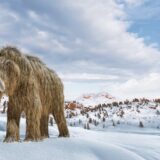 Klimatske promene i nauka: Možemo li da vratimo mamute da nam pomognu 1