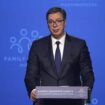 Vučić: Srbija pružila pomoć Ukrajini od 52 miliona evra 8