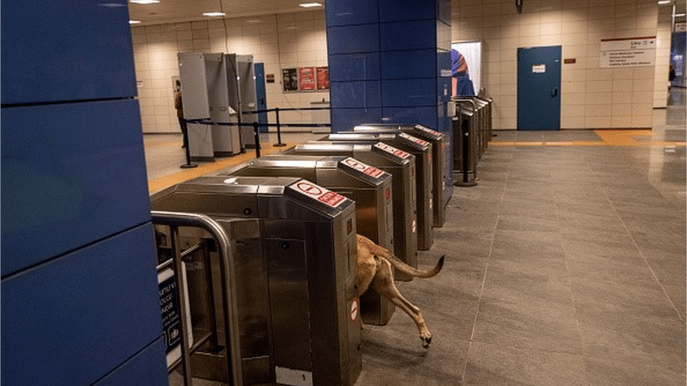 Boji the street dog enters a subway station in Istanbul