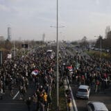 Novi protest u Vašingtonu kao podrška ekološkim buntovima u Srbiji 12