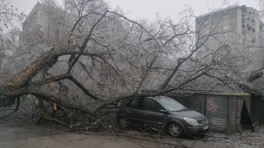 Usled stvaranja ledenica u Subotici obrušeno 21 stablo i oštećeno 19 vozila 1