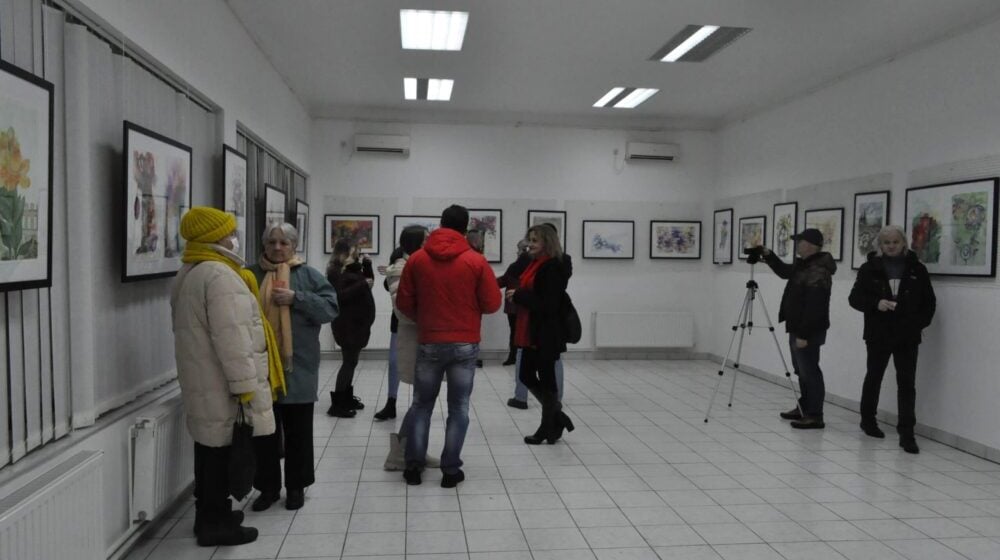 Otvorena izlagačka sezona u galeriji Centra za kulturu Majdanpek 1