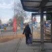 Palo autobusko stajalište sa nadstrešnicom u Novom Sadu: Ekspresno uklonjeni ostaci (FOTO) 11