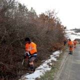 Kragujevac: U toku je orezivanje drveća, krčenje, košenje i uništavanje nepoželjne vegetacije na prilazima gradu 2