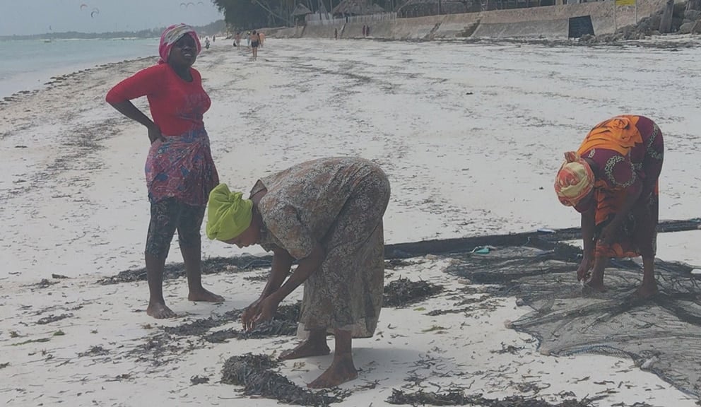 Zimsko letovanje u Zanzibaru 6