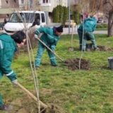 Novi Sad: Gradsko zelenilo uređuje 40 mini parkova 8