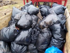 Subotica: Ljubitelji prirode očistili Radanovačku šumu i skupili nekoliko džakova smeća 3