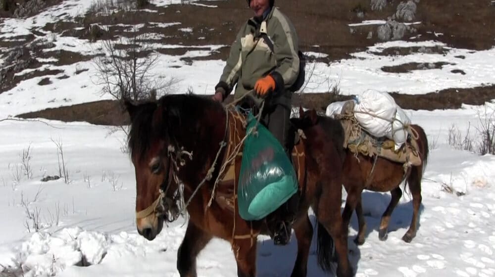 Safet Kovačević, poslednji pešterski nomad