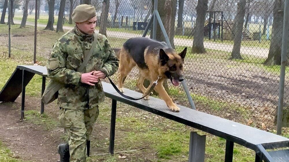 U niškoj kasarni “Knjaz Mihailo” u toku obuka pasa koji obezbeđuju vojne objekte 1