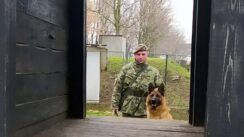 U niškoj kasarni “Knjaz Mihailo” u toku obuka pasa koji obezbeđuju vojne objekte 5