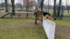 U niškoj kasarni “Knjaz Mihailo” u toku obuka pasa koji obezbeđuju vojne objekte 2