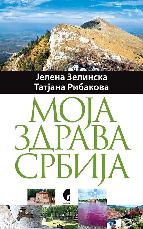 Nastavak knjige koju je Vučić poklonio Putinu 2