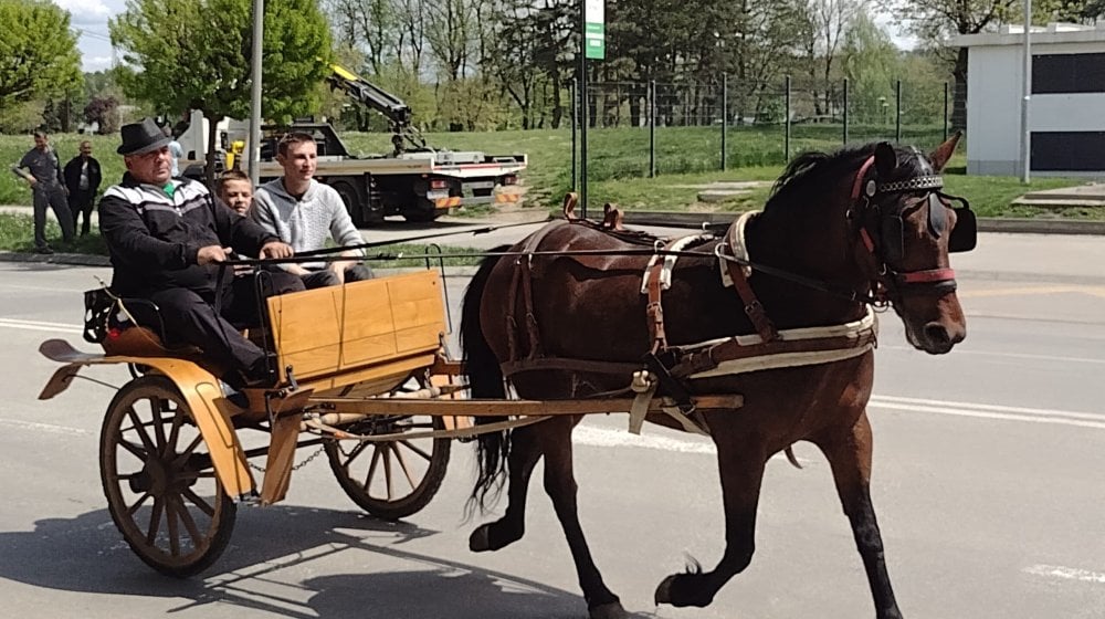 Deset konja na kragujevačkom hipodromu van životne opasnosti, uzorci hrane poslati na analizu 9