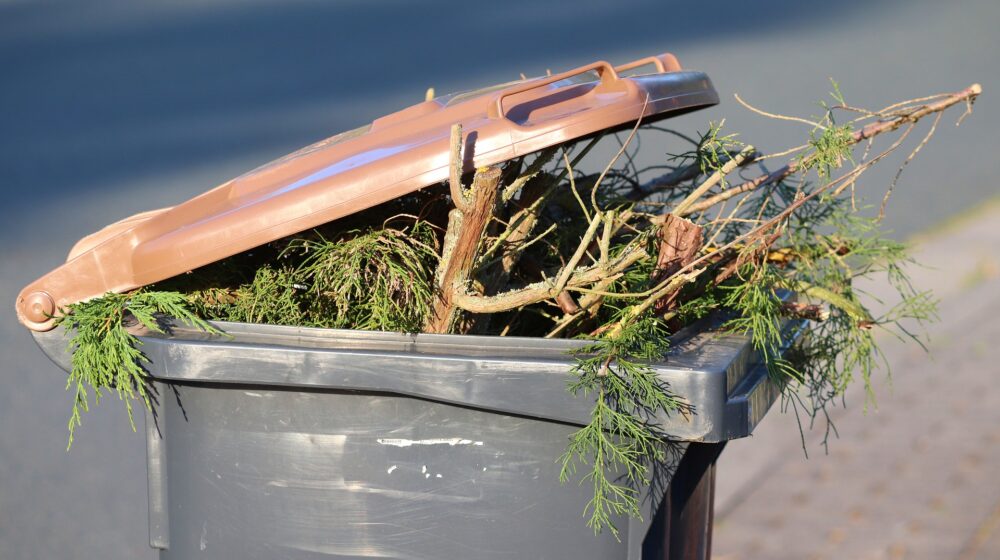 Kompostiranje za početnike: Kako da organski otpad pretvorite u izvor hranljivih materija za svoju baštu ili lokalni park 1