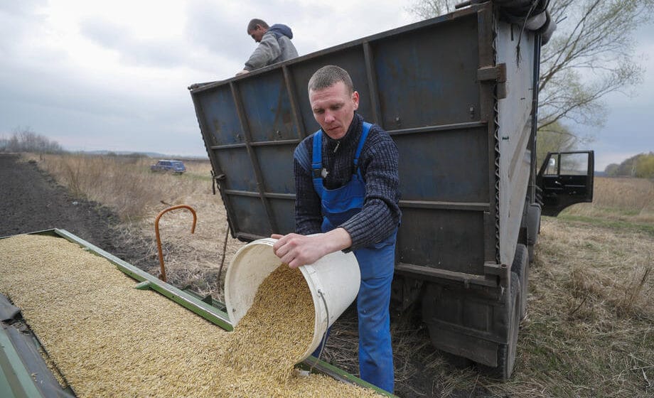 Rusija, pogođena sankcijama, otima žito od Ukrajine 1
