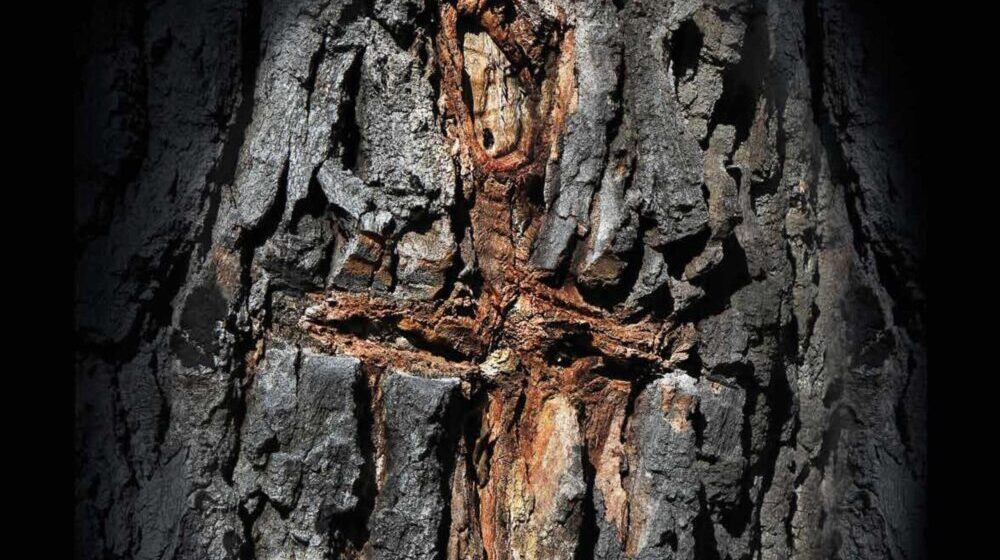 Negotin: Zapisi u drvetu i kamenu Stanka Kostića 1