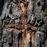 Negotin: Zapisi u drvetu i kamenu Stanka Kostića 2