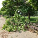 Javna preduzeća u Vranju saniraju štetu nakon olujnog nevremena 5