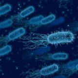 Pronađen novi način lečenja infekcija bakterije otporne na antibiotike 4