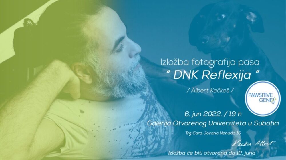 Subotica: Izložba fotografija pasa Alberta Kečkeša „DNK Refleksija“ 1